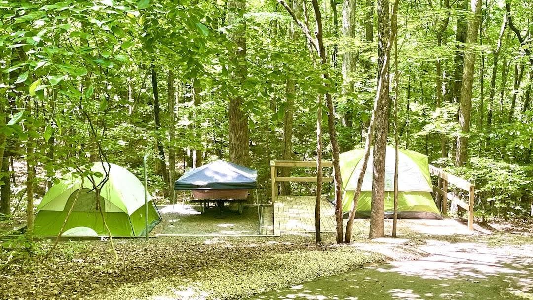 McDowell Nature Center photo 3
