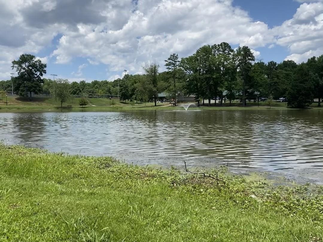 Park Road Park photo 5