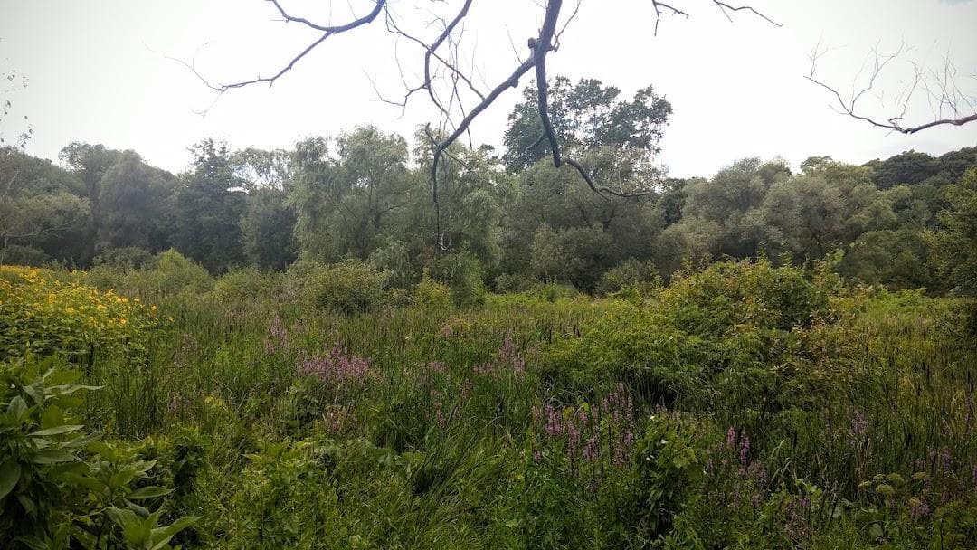 Hunnewell Visitor Center photo 3