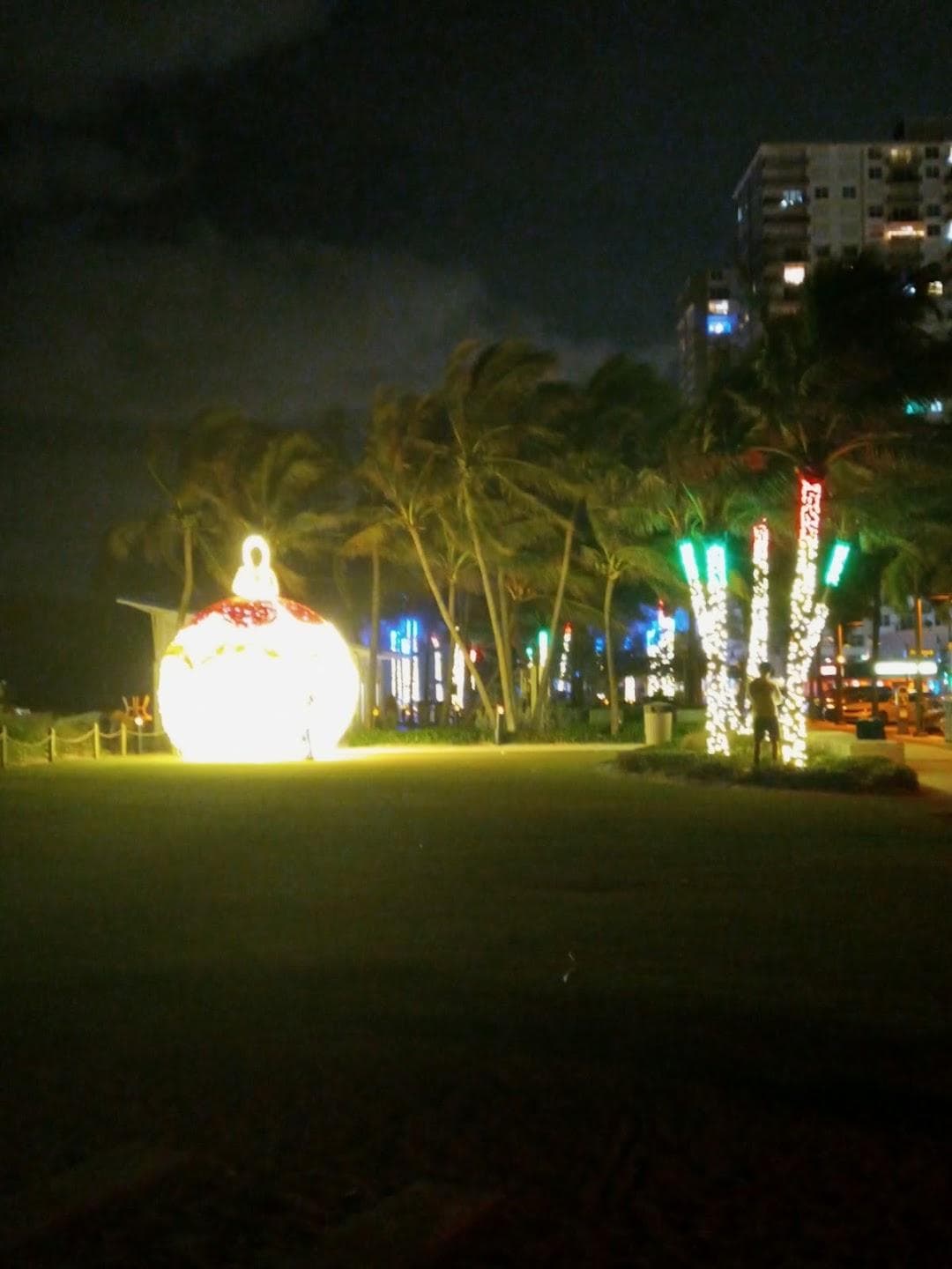 The Great Lawn photo 3