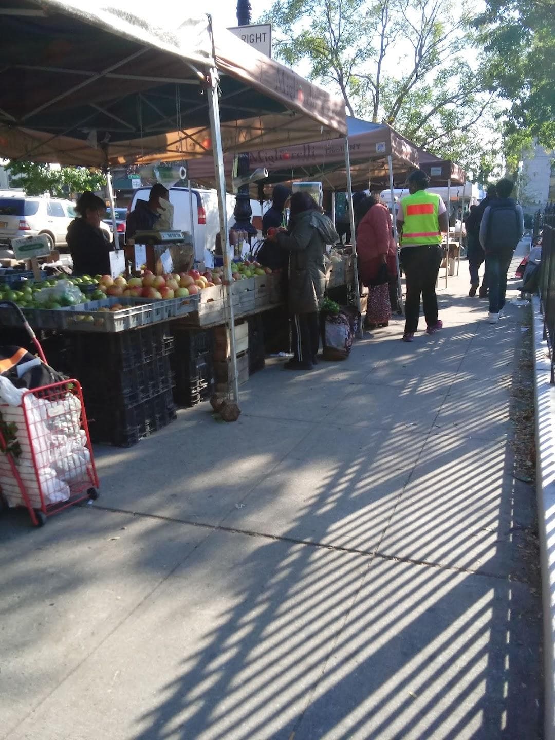 Bronx Borough Hall Greenmarket photo 2