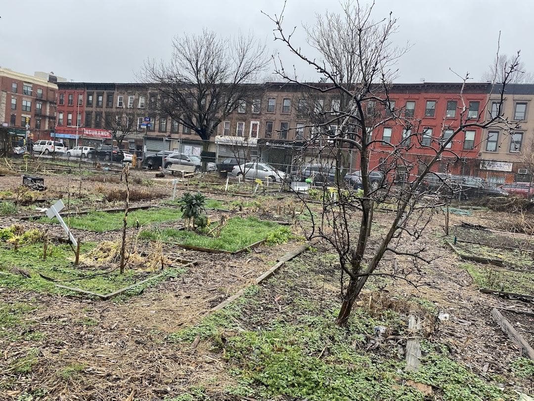 Phoenix Community Garden photo 1