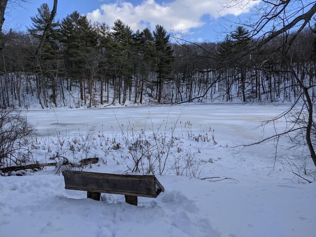 Hapgood Wright Town Forest - Fairyland Pond Parking photo 4