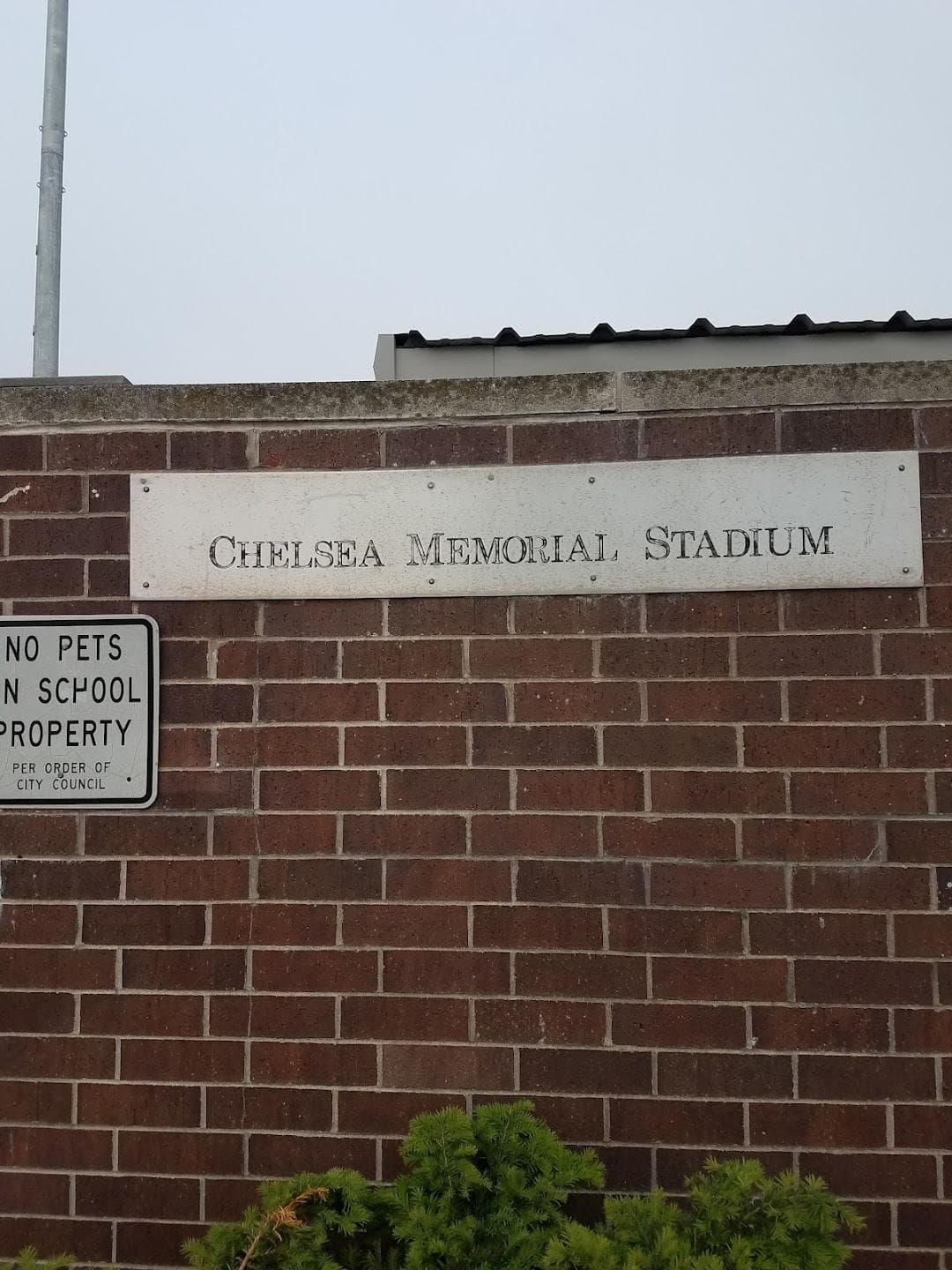 Chelsea High School photo 5