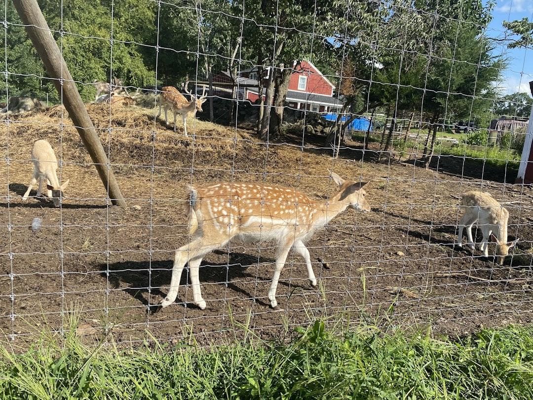 Smolak Farms photo 2