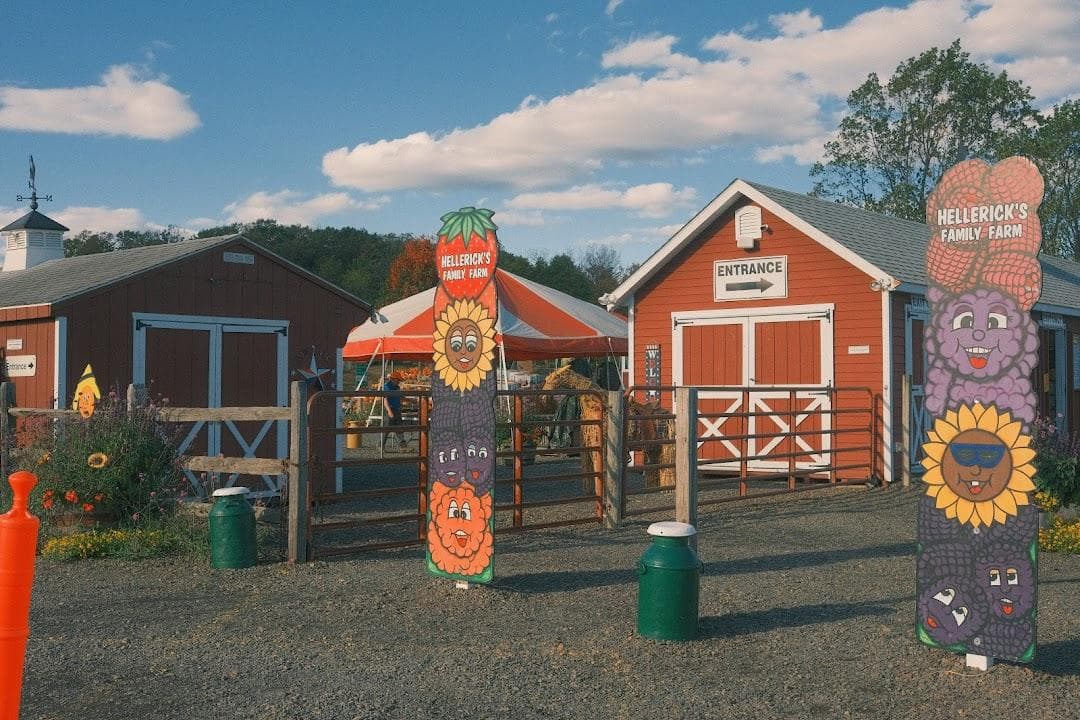 Hellerick’s Adventure Farm photo 2