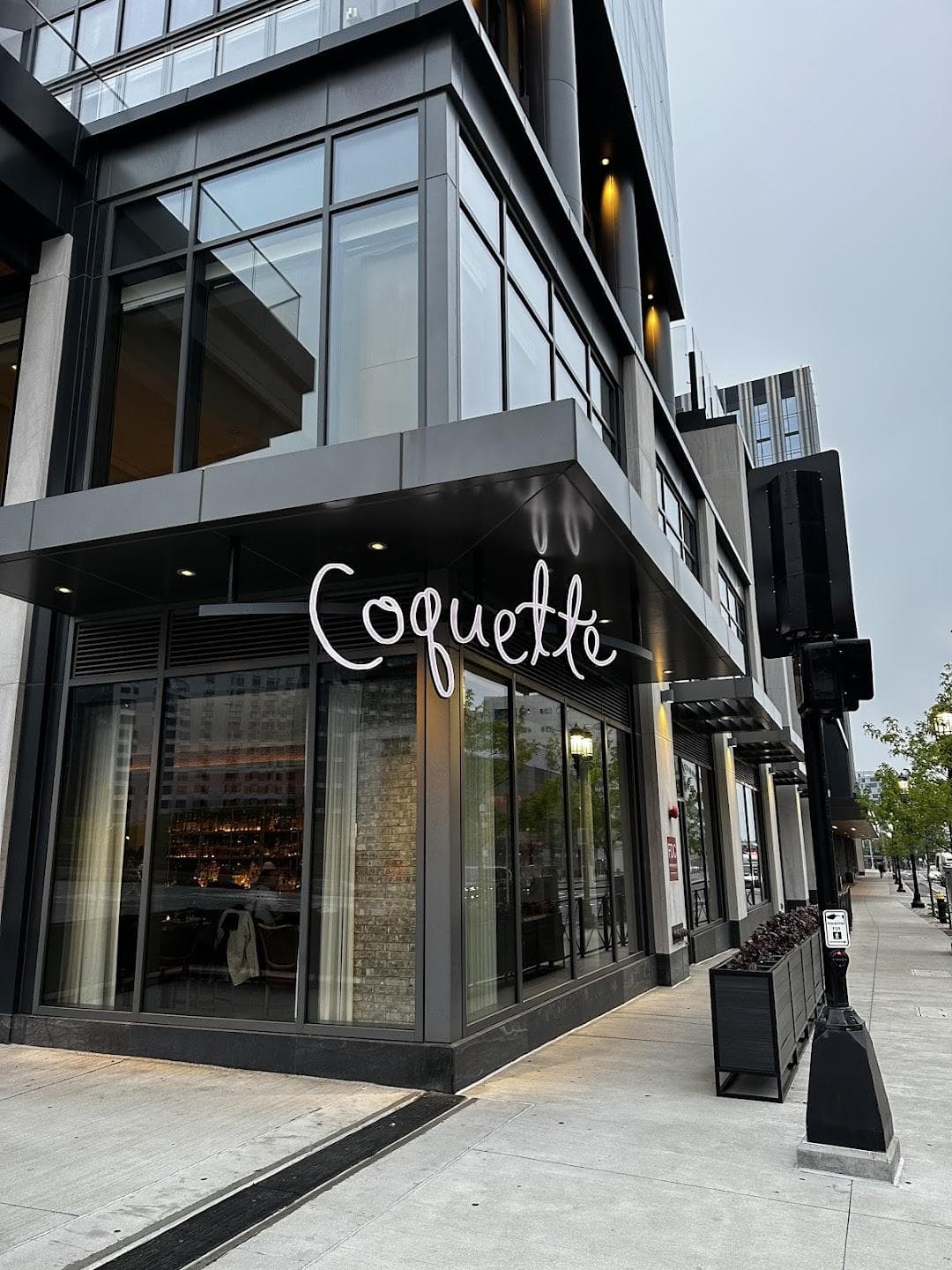 Coquette photo 4