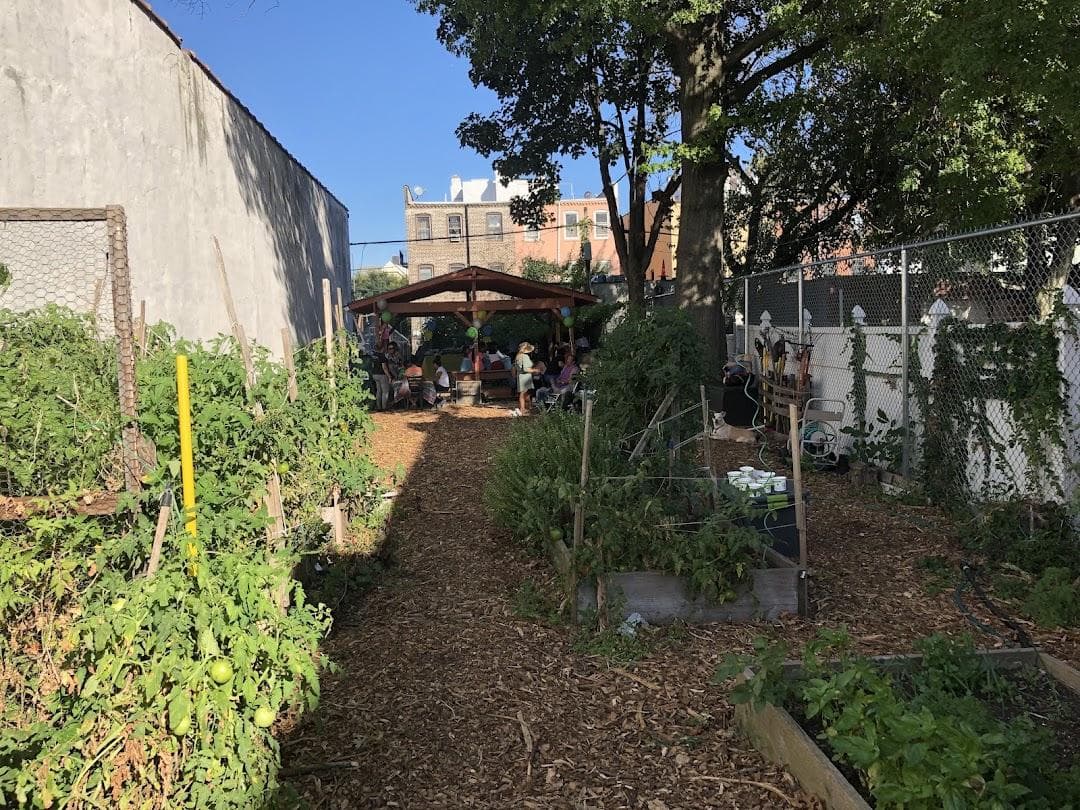 Chestnut Street Community Garden photo 3