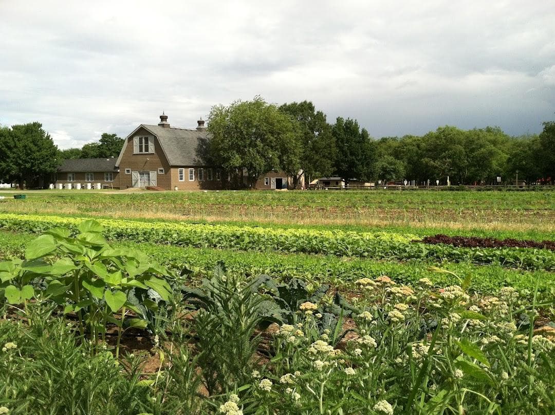 Queens County Farm Museum photo 4