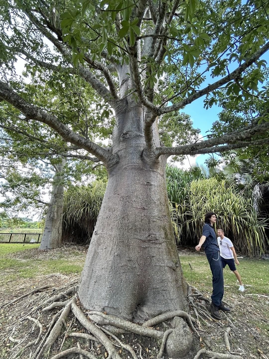 Fruit & Spice Park photo 5