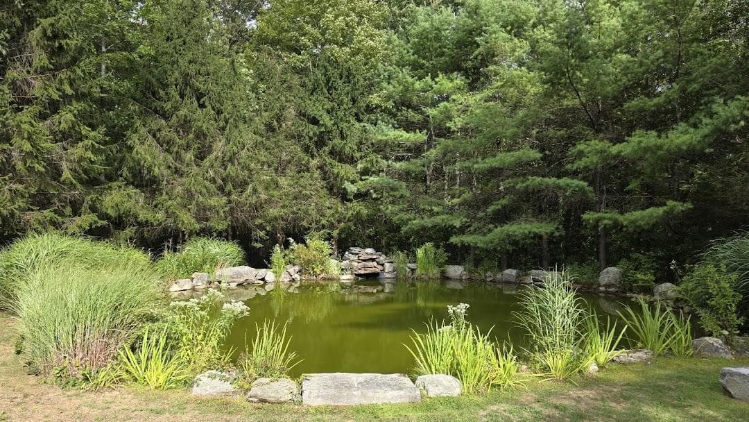 New Salem Museum and Academy of Fine Art photo 5