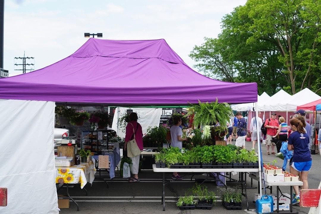 Down to Earth Larchmont Farmers Market photo 3