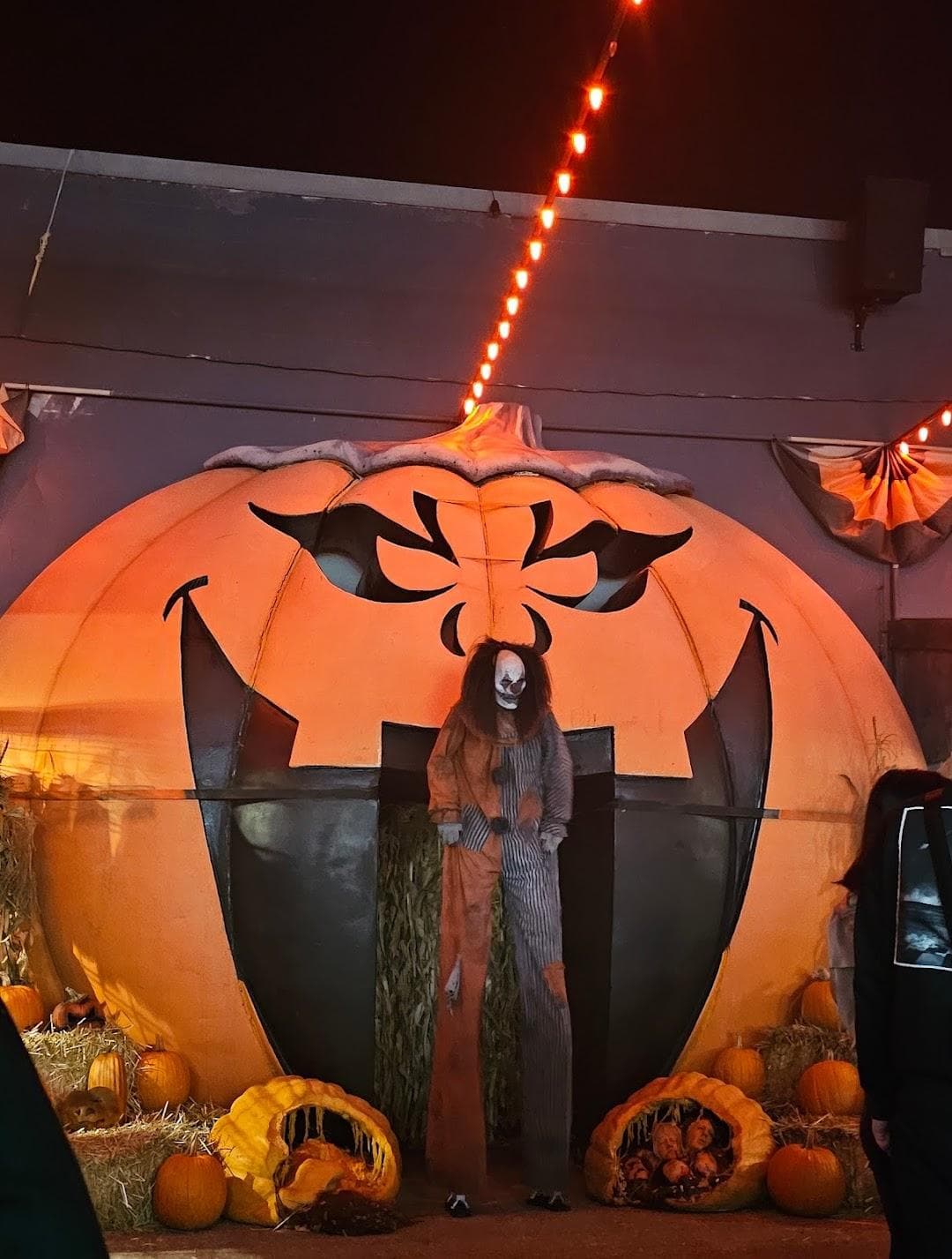 Fright Kingdom photo 2