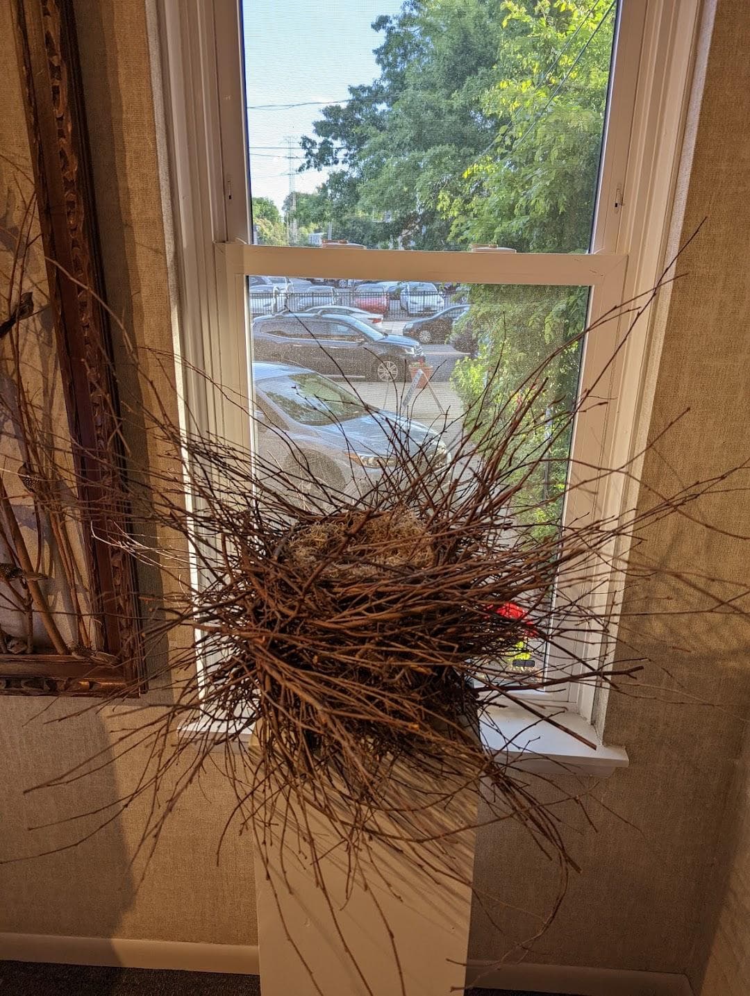 Blue Streak Gallery Inc photo 1