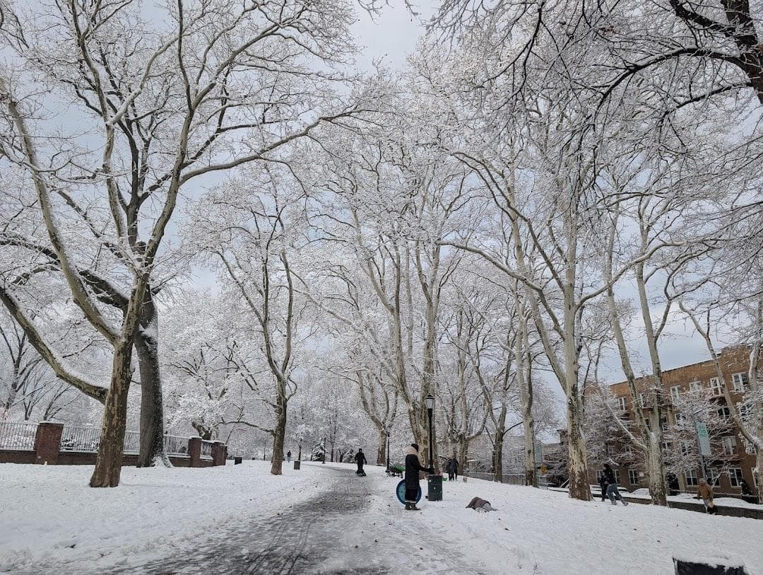 Sunset Park photo 3