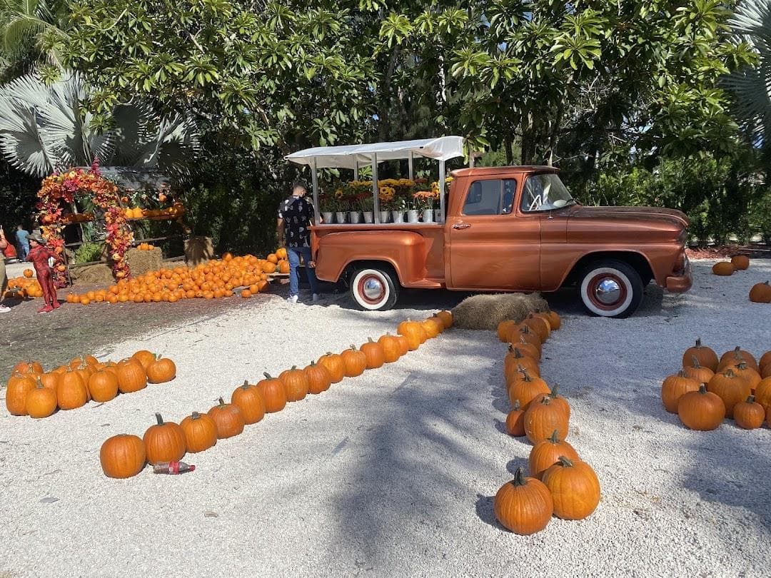 Pinto's Farm photo 3