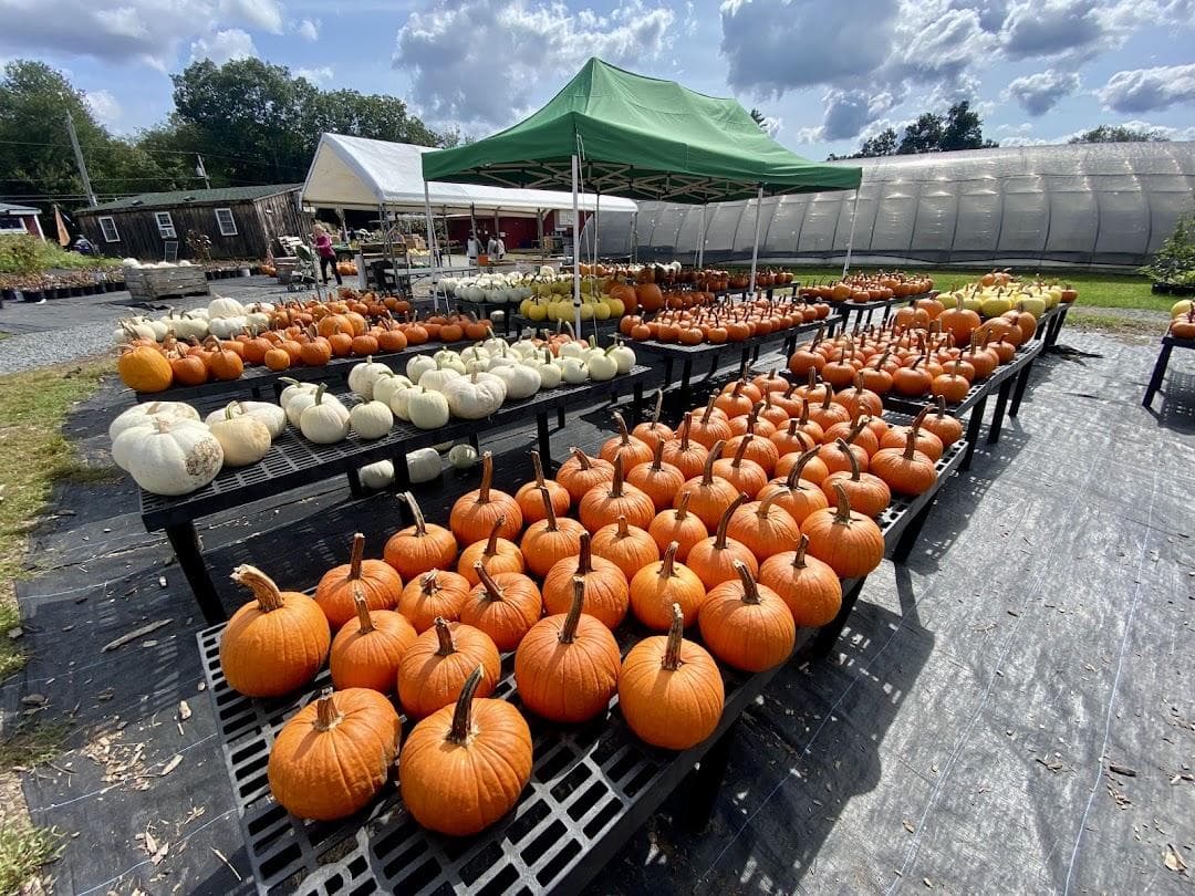 C N Smith Farm photo 6