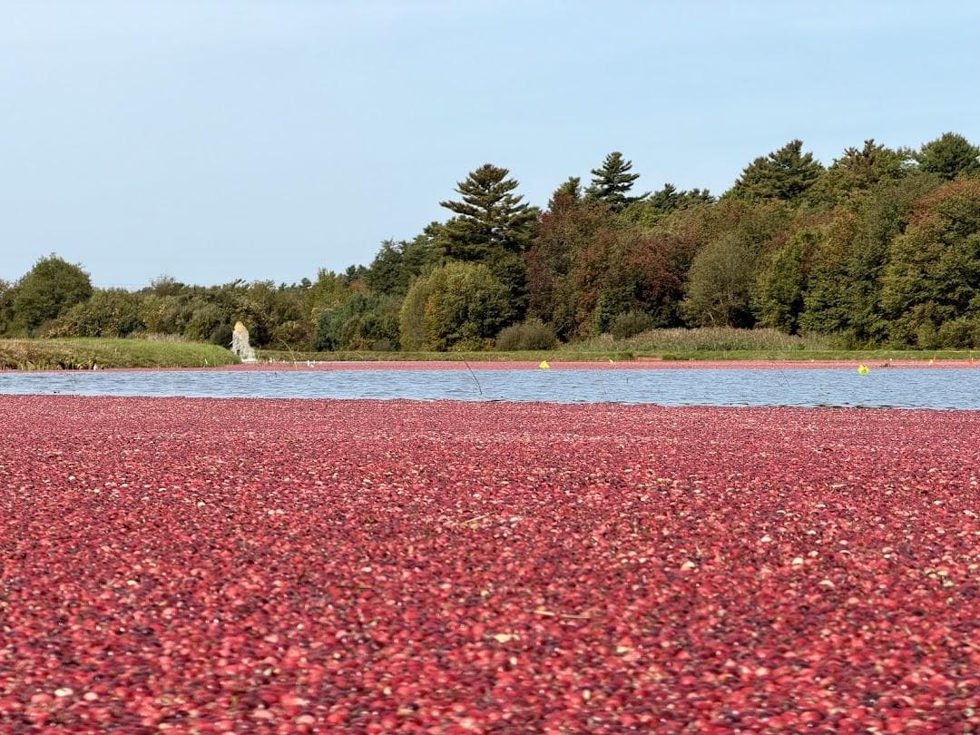 Red Meadow photo 1