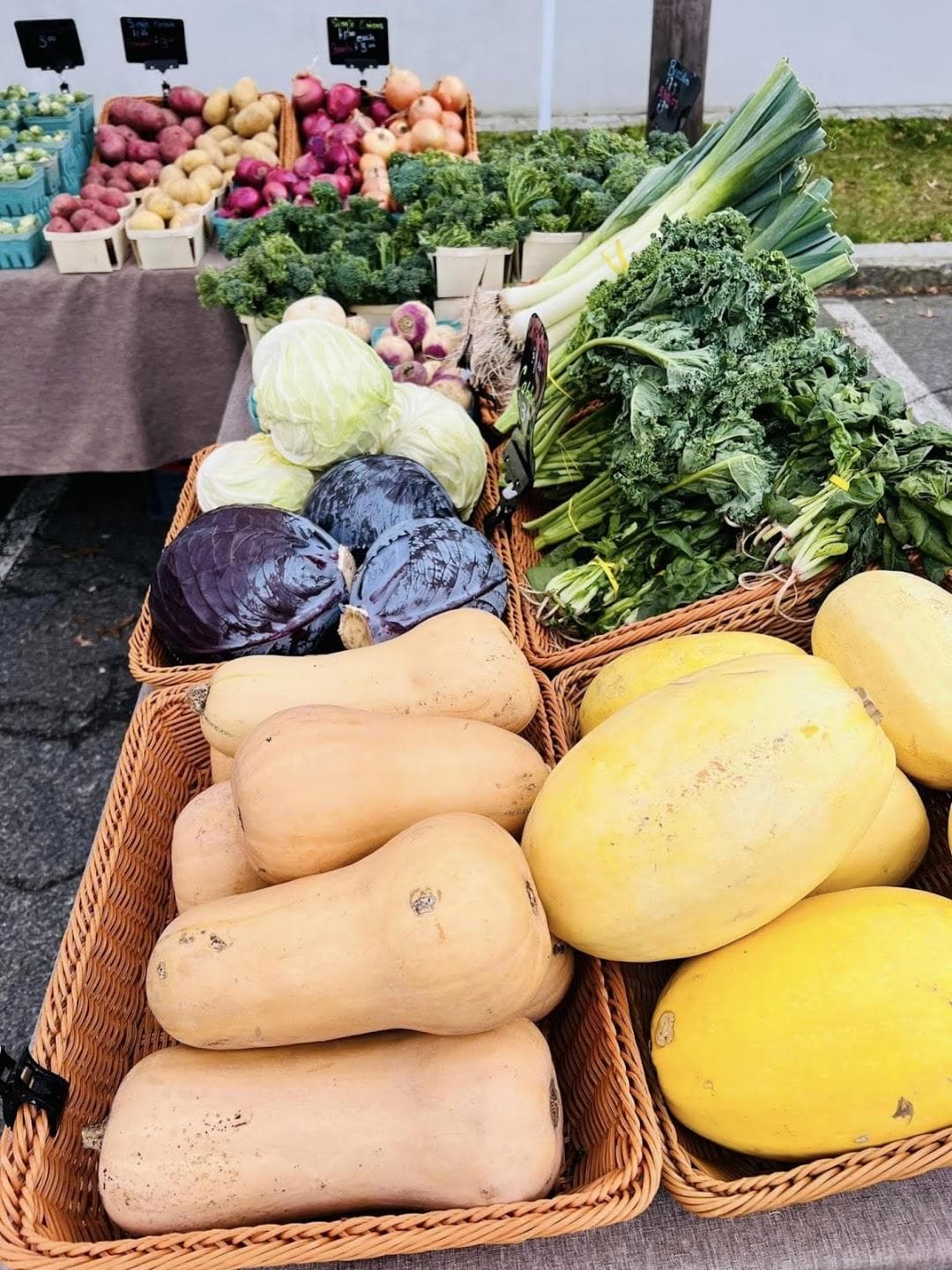Down to Earth Rye Farmers Market photo 2