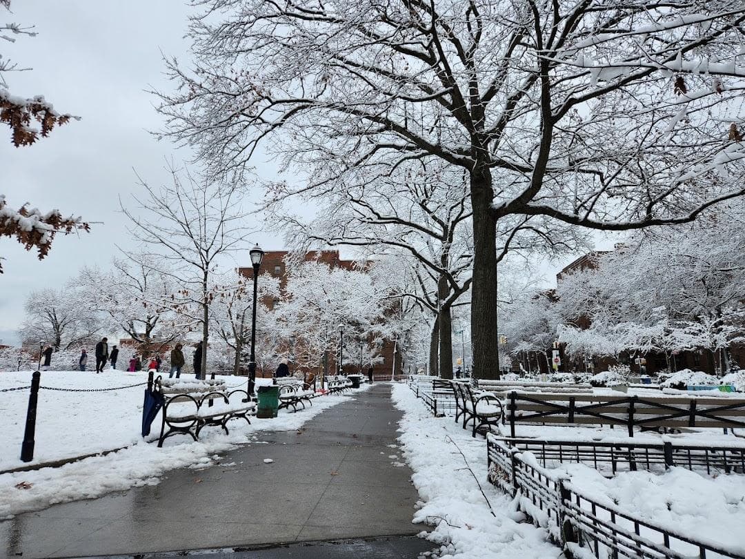 Travers Park photo 5