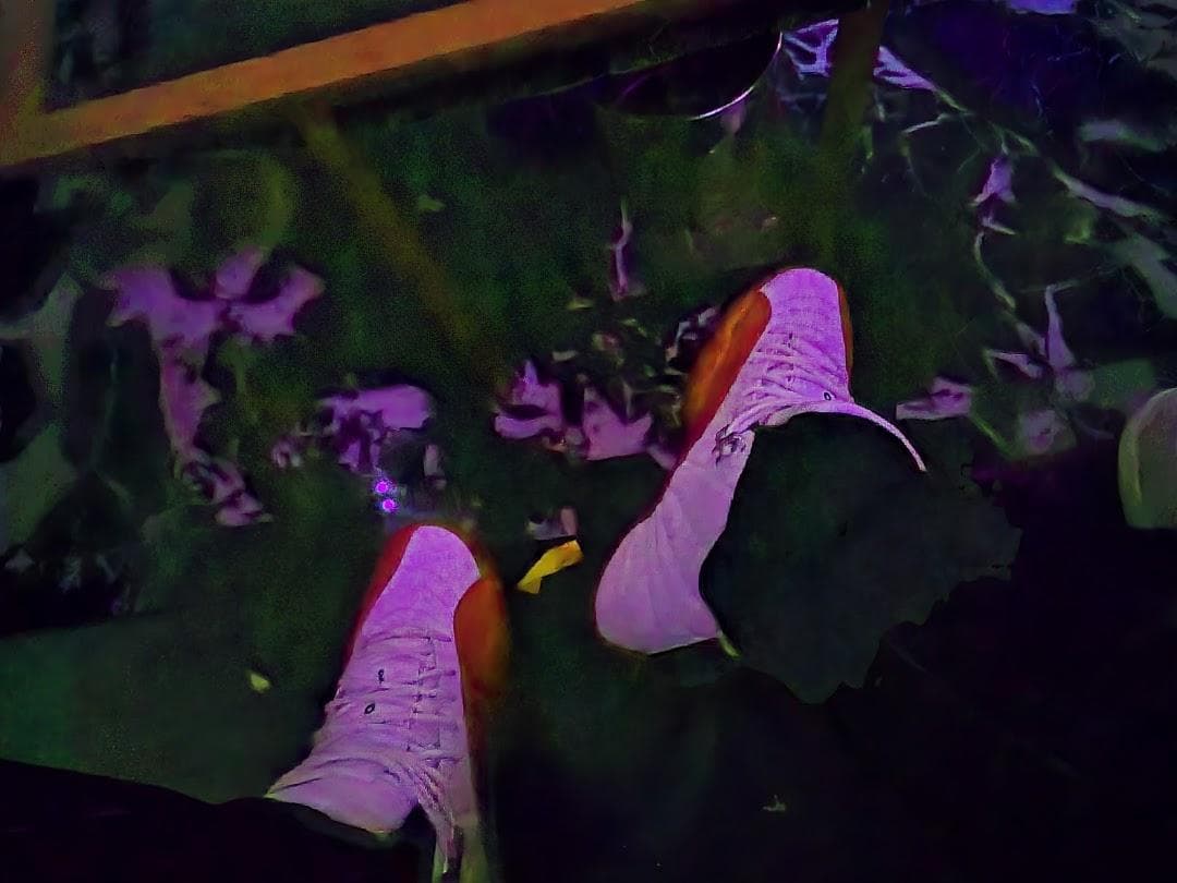 Coco Miami photo 6