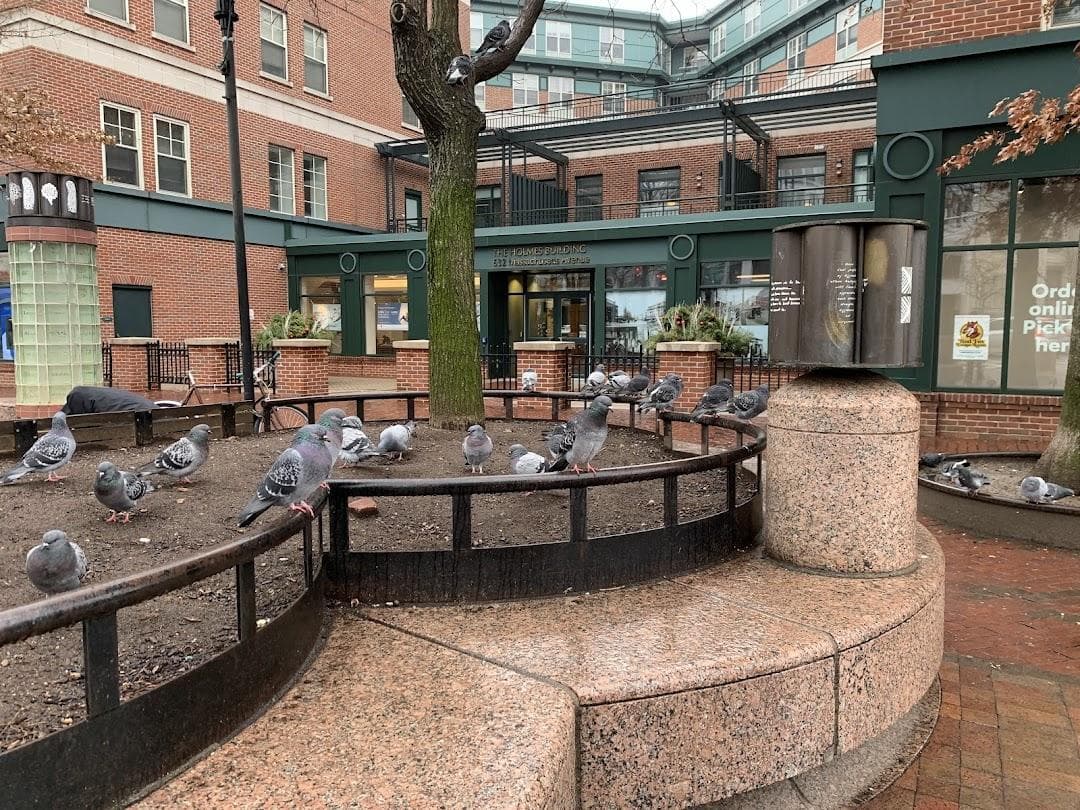 Central Square photo 5