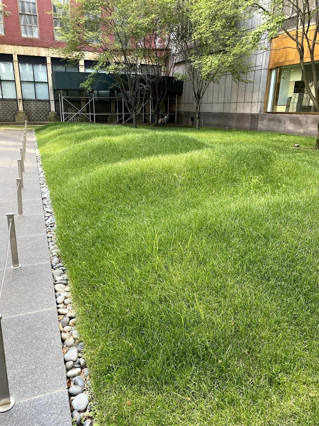 African Burial Ground National Monument photo 1