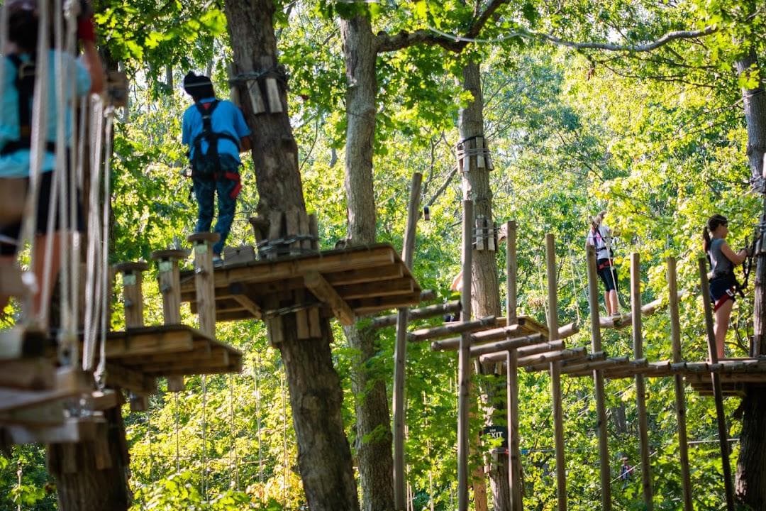 The Adventure Park at the Discovery Museum photo 2