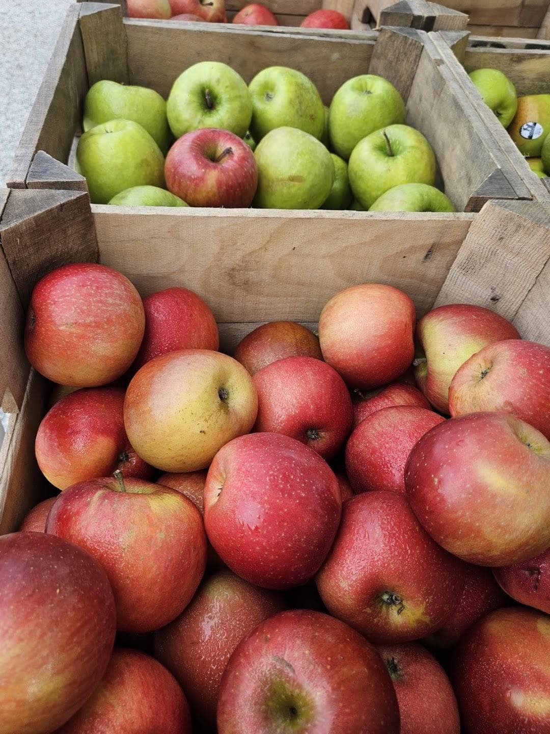 Bryn Mawr Farmers Market photo 6