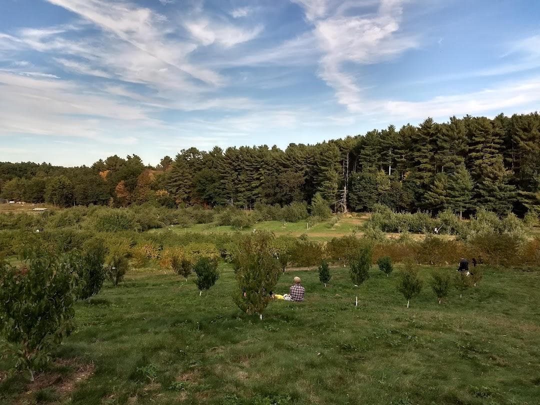 Carver Hill Orchard photo 2