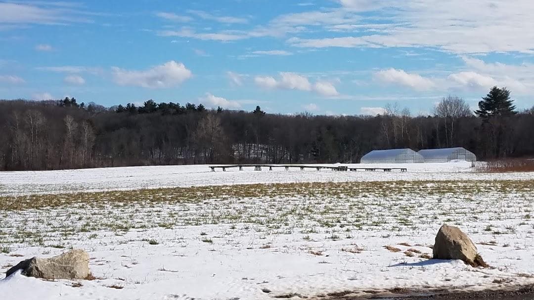The Food Project's Baker Bridge Farm photo 6