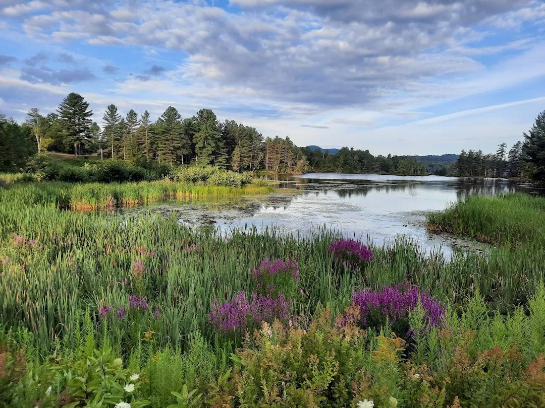 Long Lake photo 3