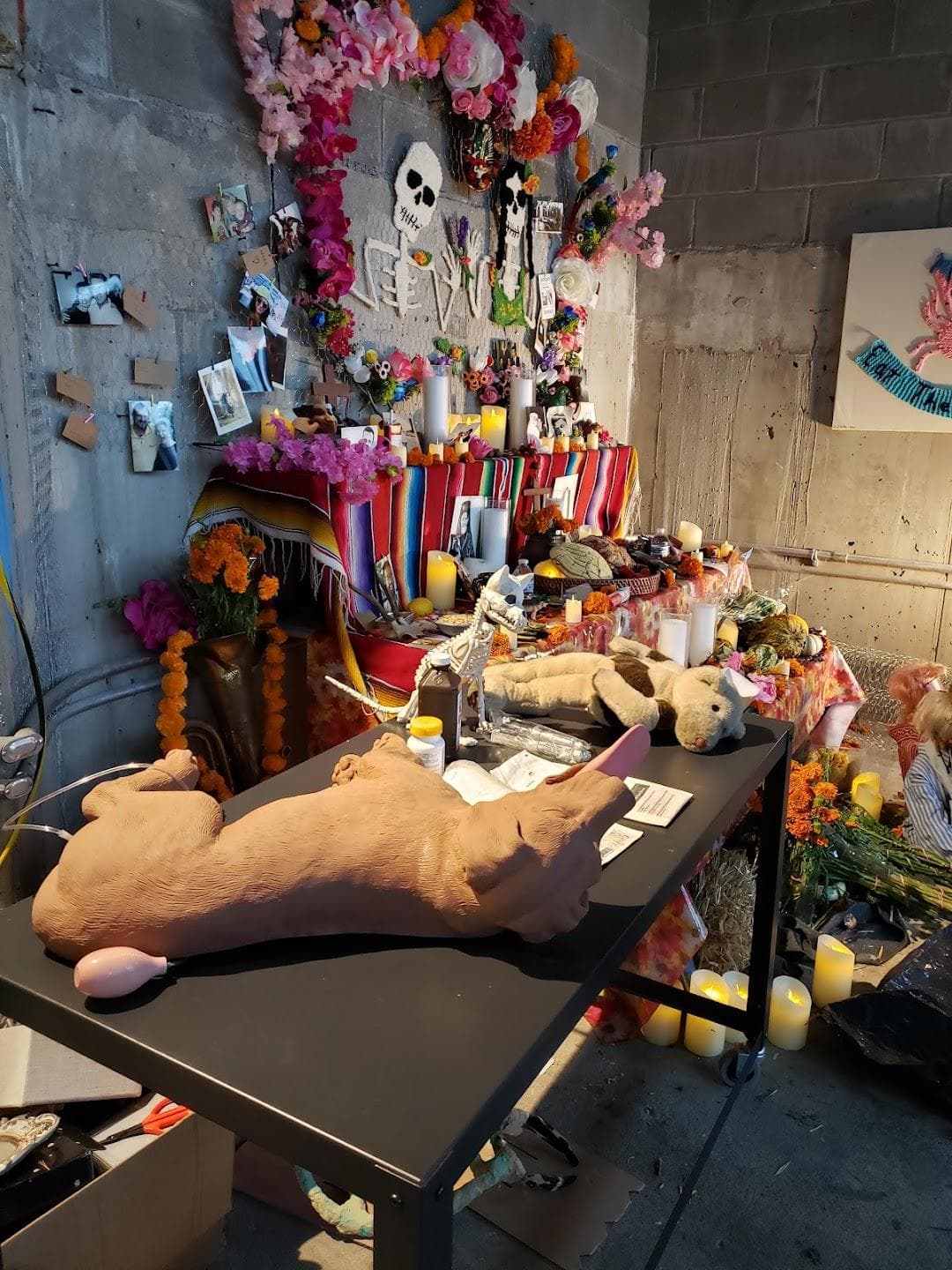 Gowanus Dredgers Canoe Club Boathouse photo 4