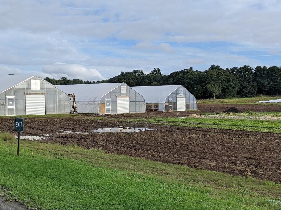 Tangerini's Spring Street Farm photo 1