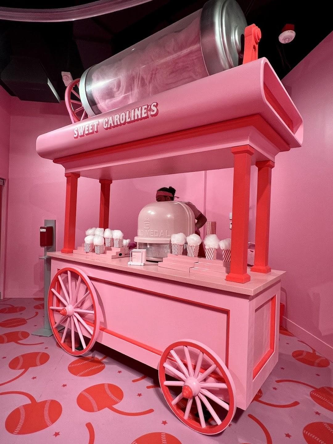 MUSEUM OF ICE CREAM photo 6