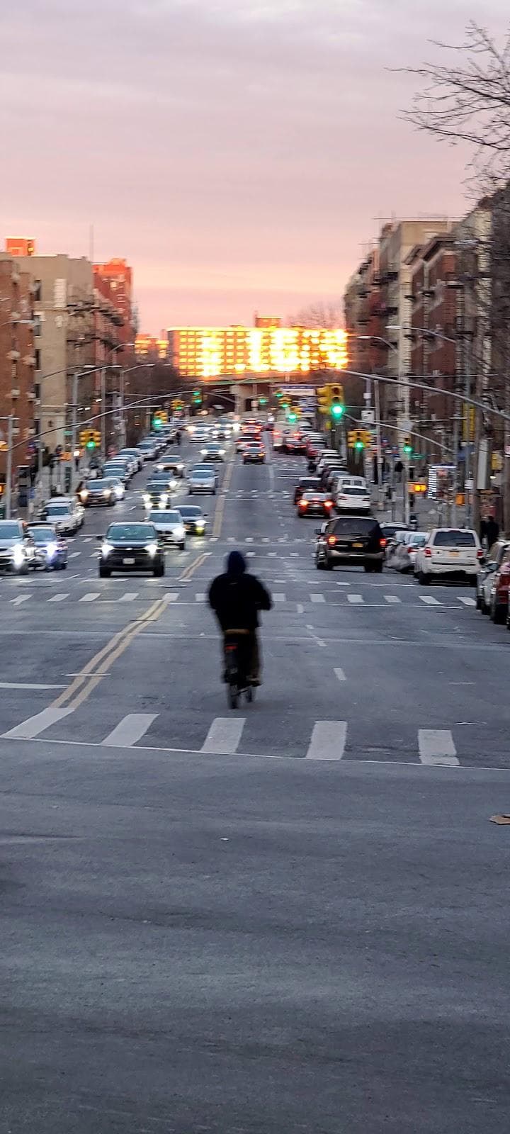 The Bronx photo 3