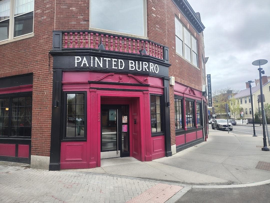 The Painted Burro - Harvard Square photo 2