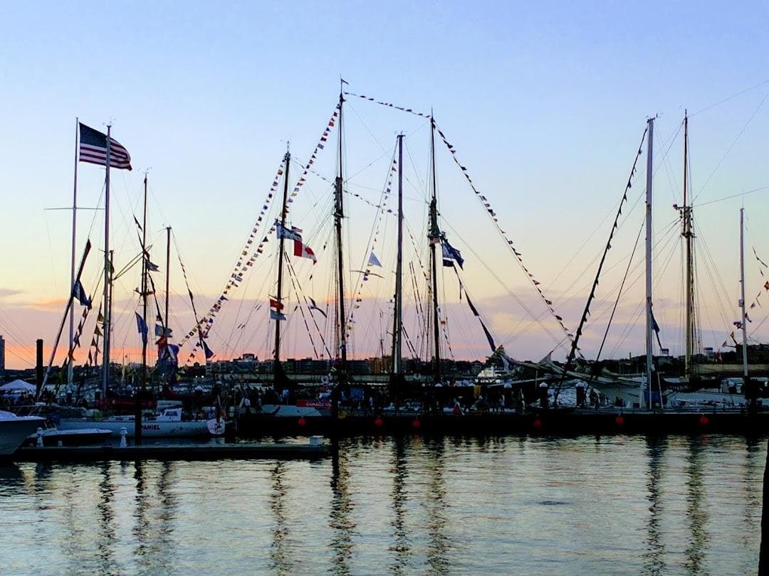 Fan Pier Marina photo 4
