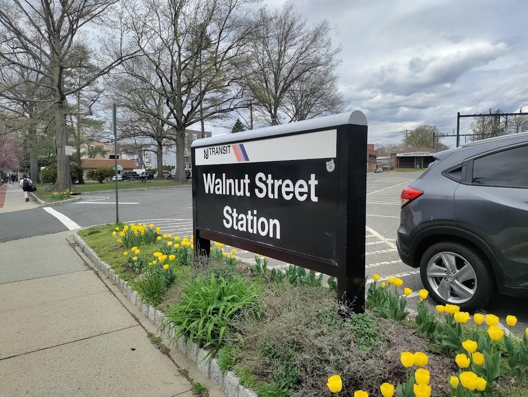Walnut Street photo 2