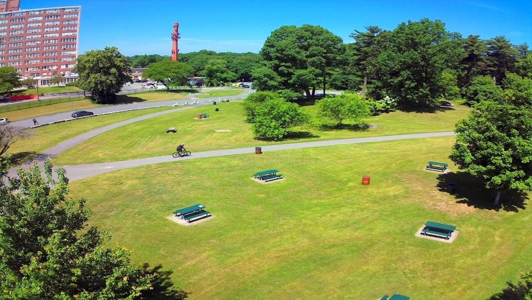 Shattuck Picnic Grove photo 5