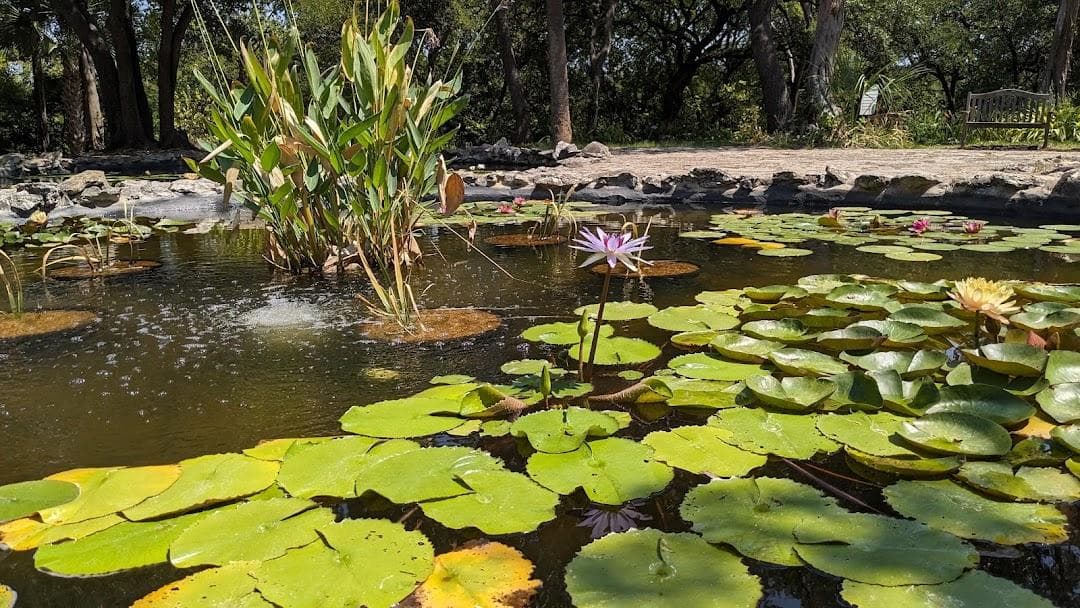 Mayfield Park and Nature Preserve photo 3