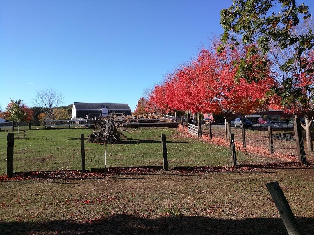Brooksby Farm photo 5