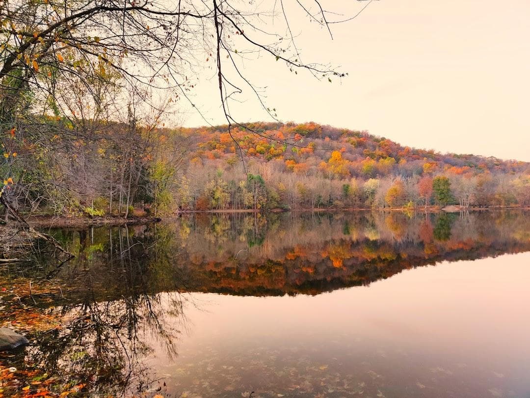 Ramapo Valley County Reservation photo 4