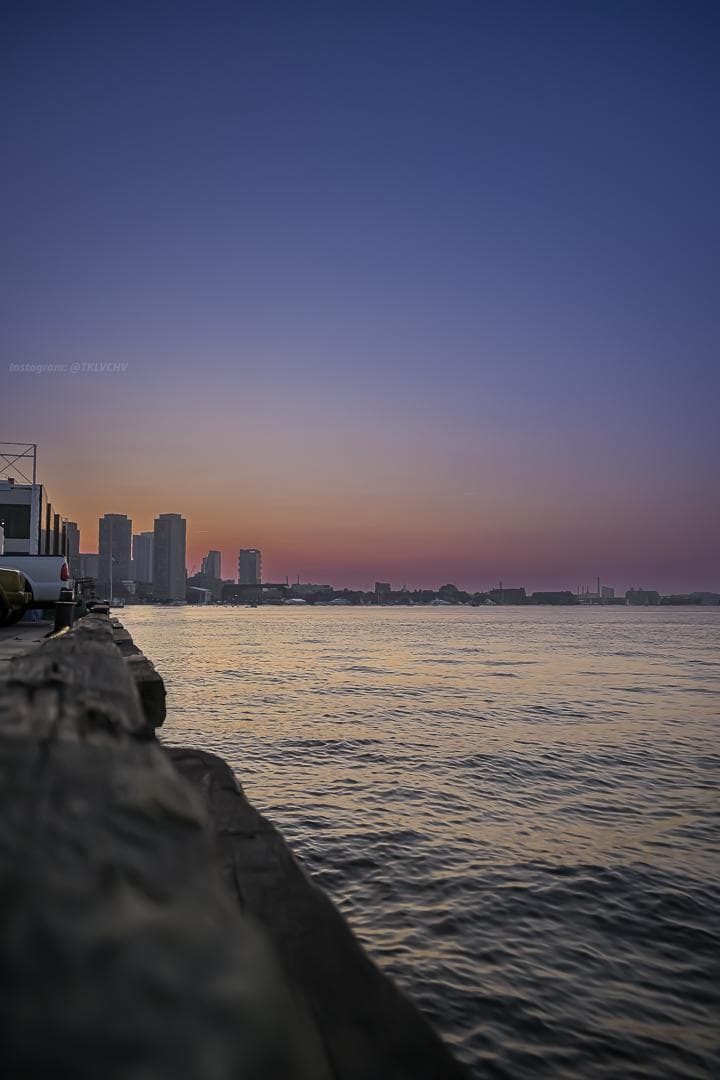 Boston Fish Pier photo 3