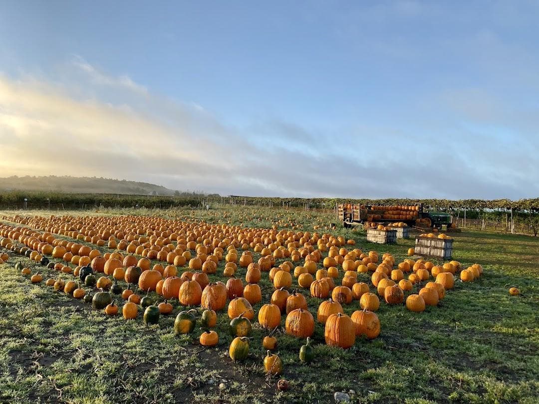 Belkin Family Lookout Farm - U-Pick Orchard - Taproom, Outdoor Dining and Market photo 1