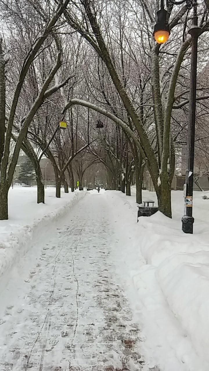 Seven Hills Park photo 1