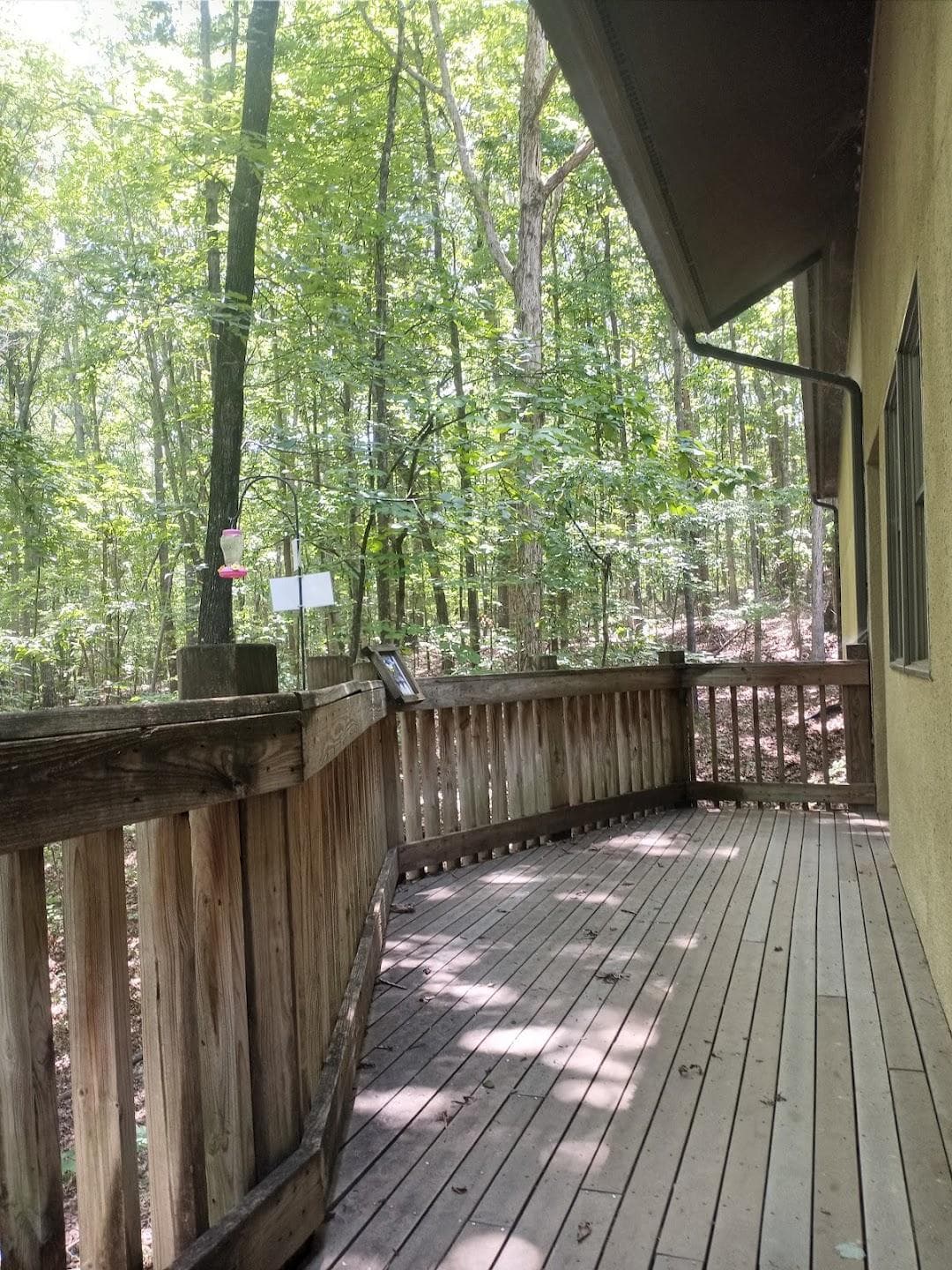 McDowell Nature Center photo 5