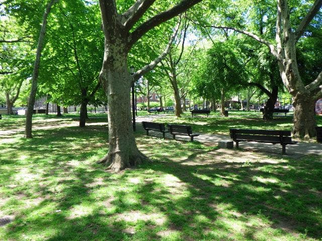 Cooper Park photo 2