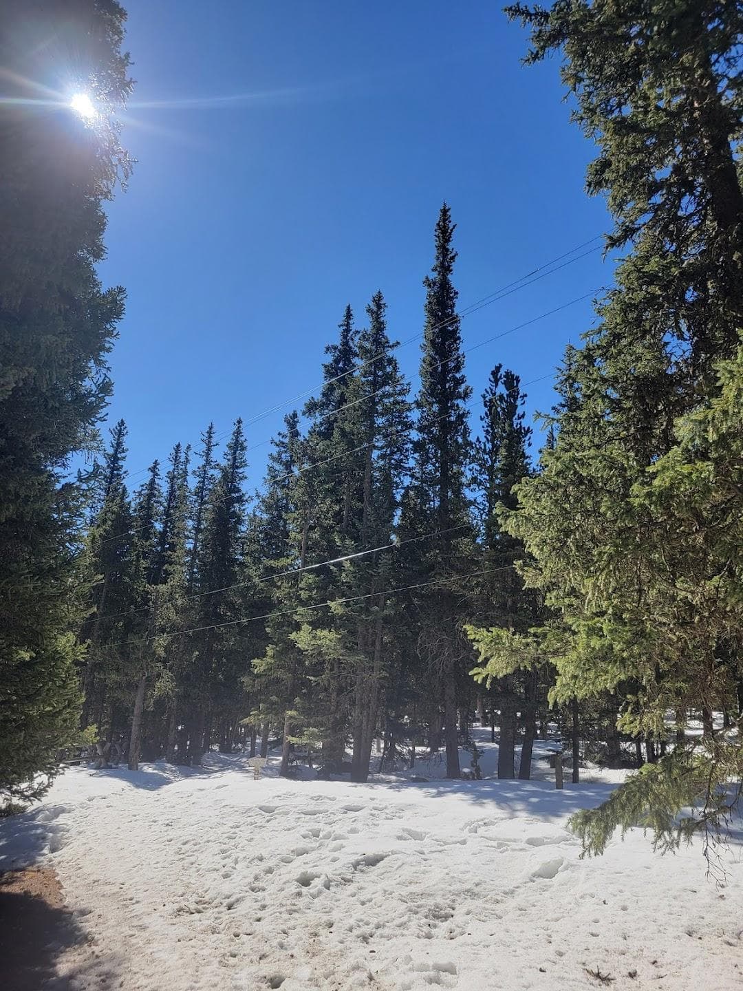 Echo Lake Campground photo 1