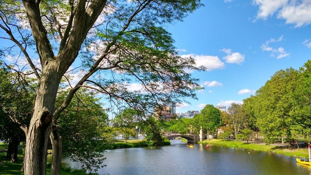 Charles River Reservation photo 3